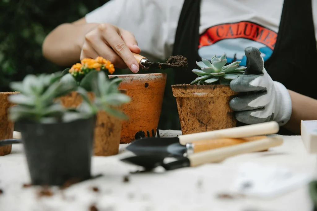 Idéer til krukkehave – inspiration fra det enkle til det spektakulære