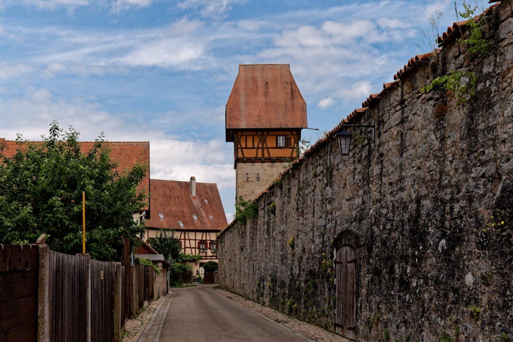 pexels sabine freiberger 528844081 26612895
