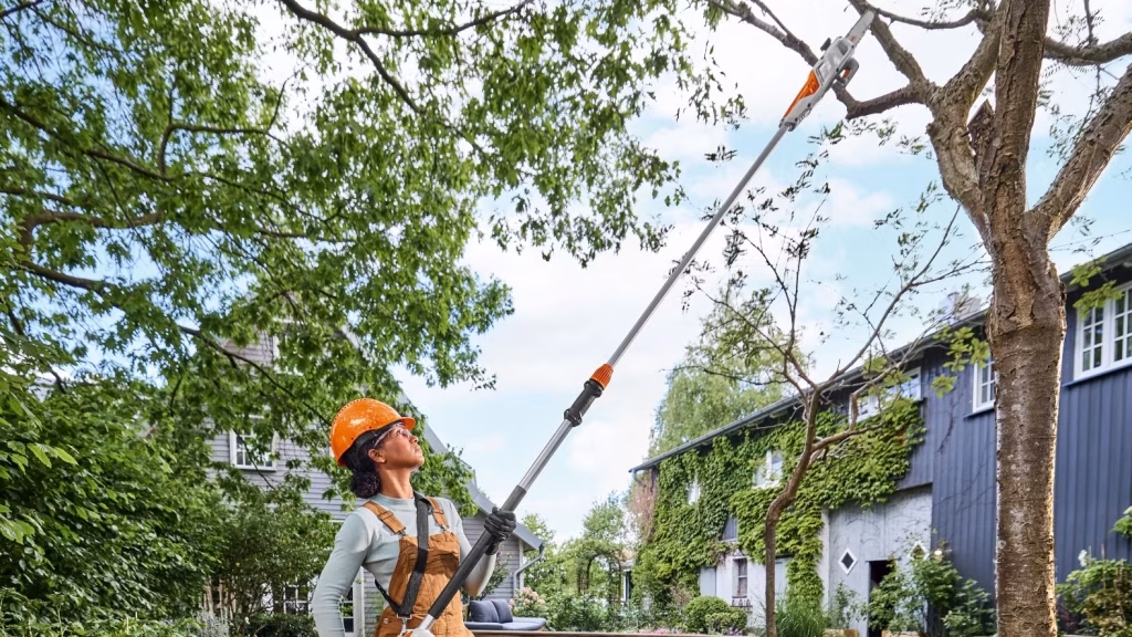 Nemmere træpleje nede fra jorden med den nye STIHL HTA 30