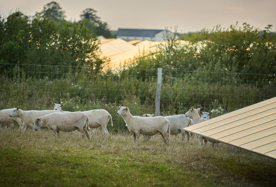 Elpriser: Dyreste maj siden energikrisen
